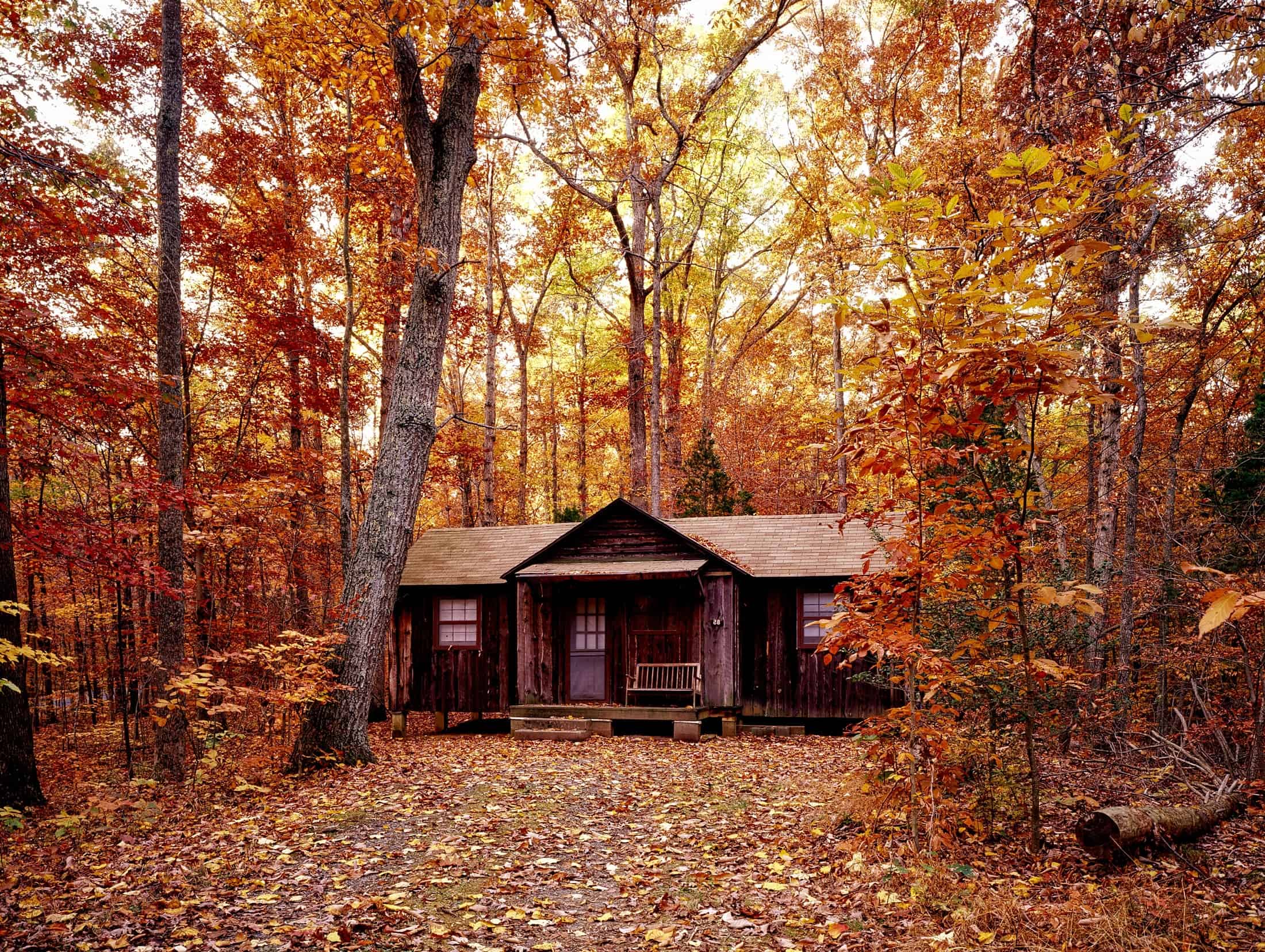 Government Lease Cabin